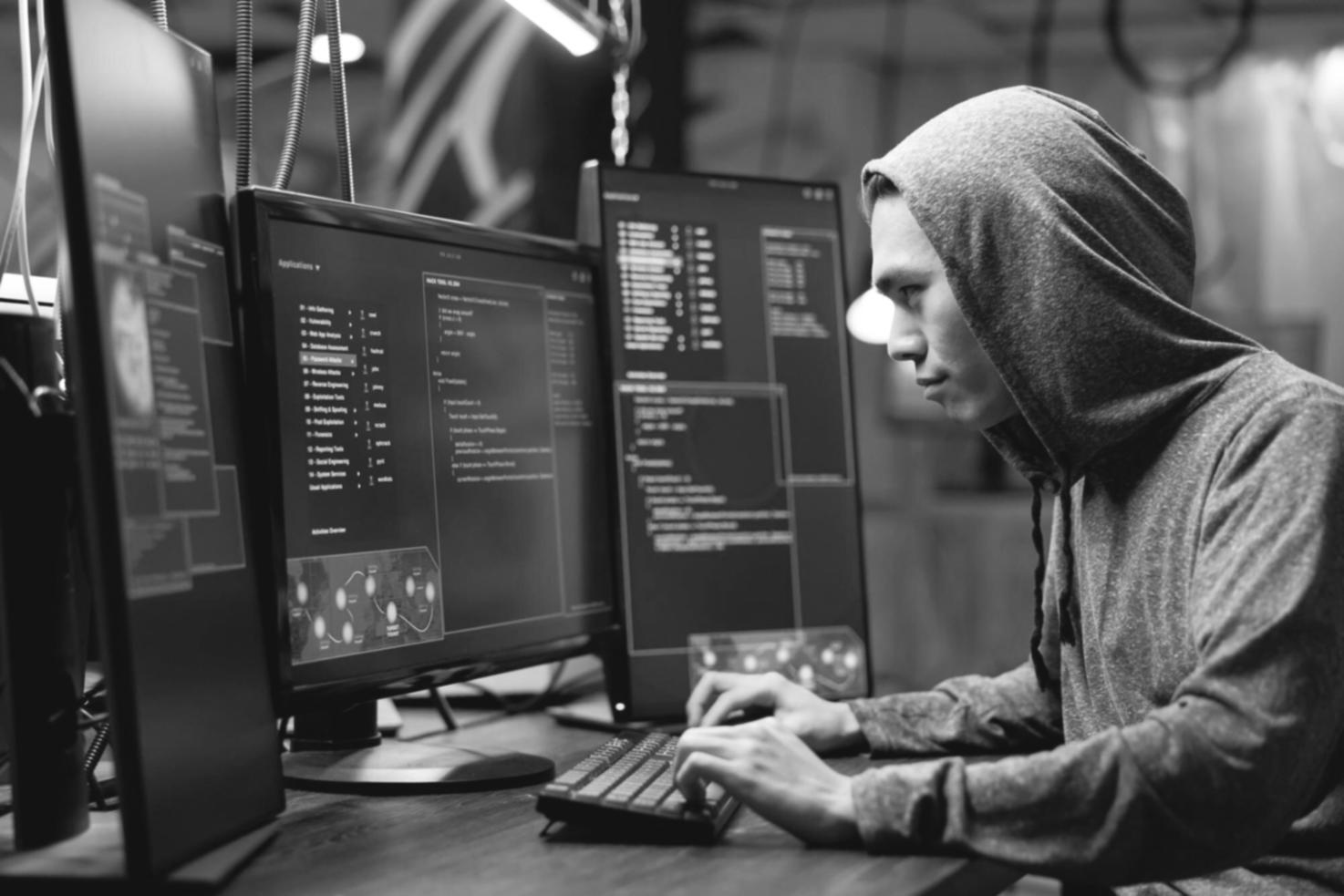 Процесс разработки и настройки программных систем в Zaethermyx